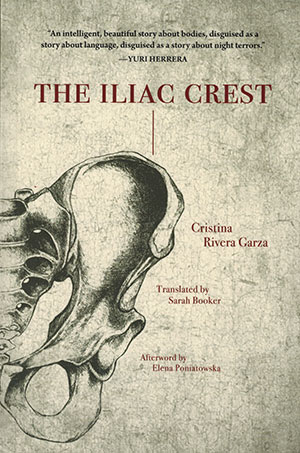 The Iliac Crest